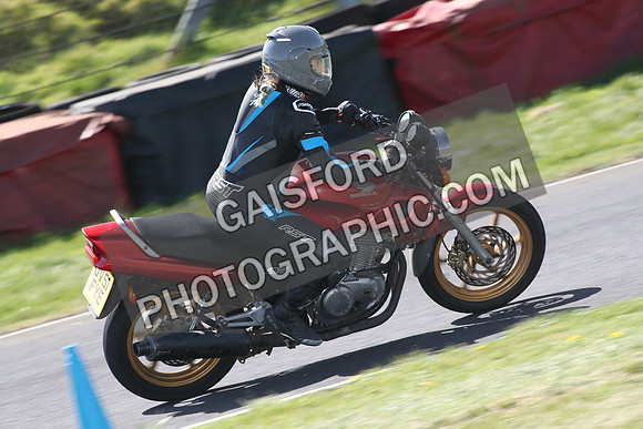 BIKES 1599