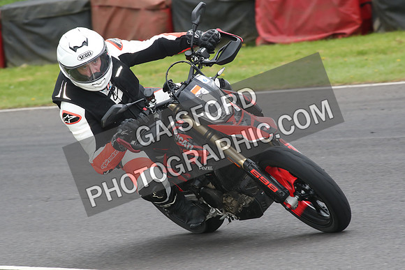 BIKES 1707