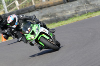 Fowlers 0403