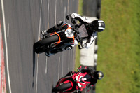 CC BIKE TD 0467