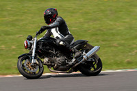 CC BIKE TD 1131