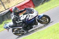 Fowlers 0680