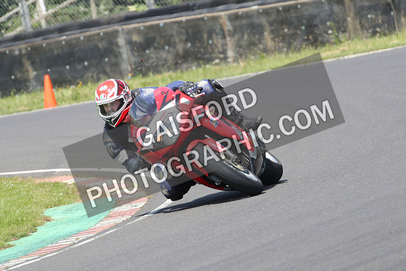 BIKES 1000
