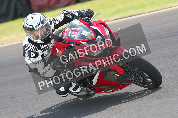 BIKES 1483