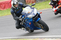 Fowlers 0787