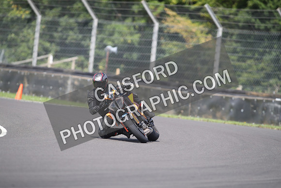 BIKES 1411