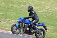 Fowlers 0763