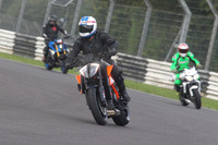 BIKES 1539