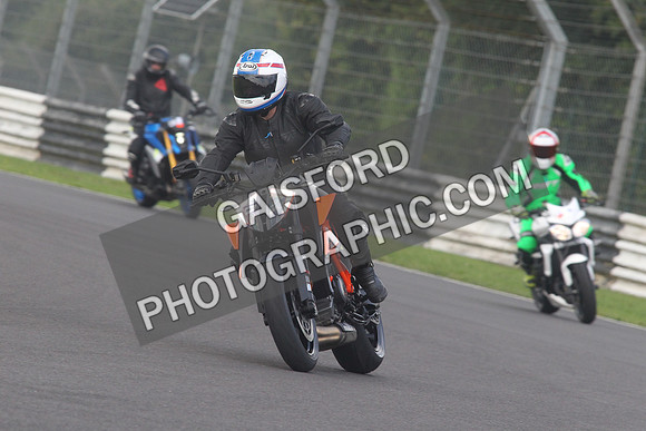 BIKES 1539