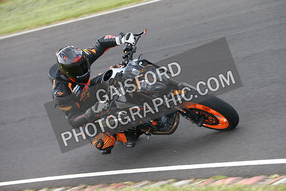 Fowlers 1200