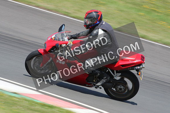 BIKES 1305