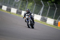 BIKES 1306