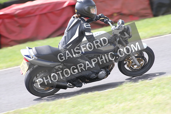 BIKES 1721