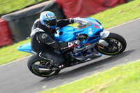 Fowlers 0881