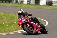 CC BIKE TD 1033