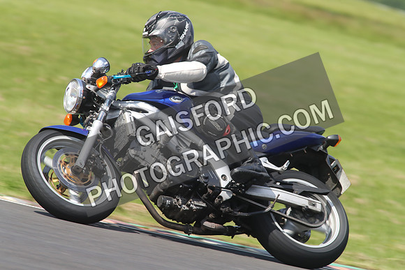 BIKES 1528