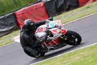 Fowlers 0453