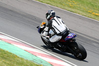 BIKES 1333