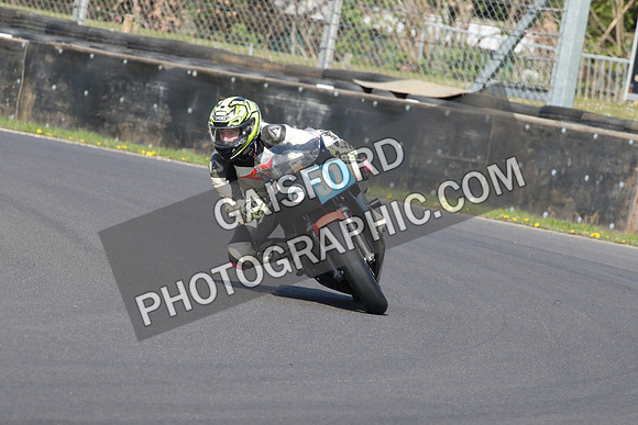 BIKES 0541