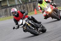 BIKES 0666