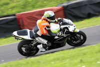 Fowlers 0990