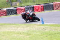 Fowlers 0388