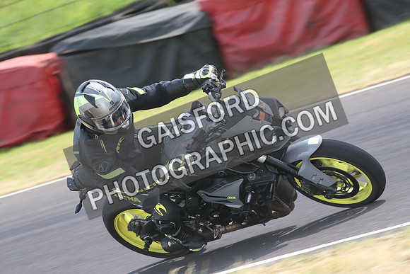BIKES 1606