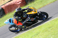 Fowlers 0470