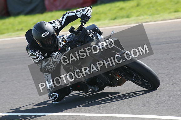 BIKES 2015