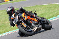 BIKES 0689