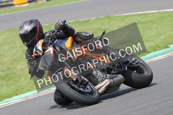BIKES 0689