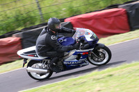 Fowlers 0498