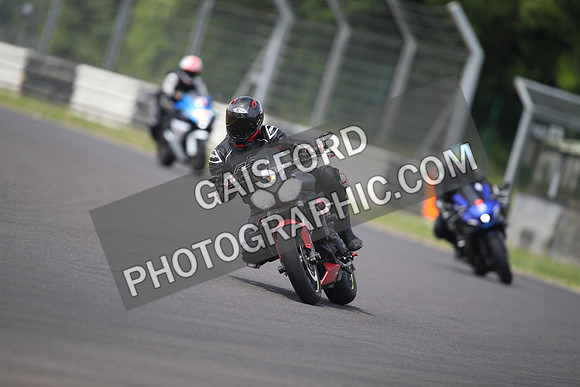 BIKES 1310