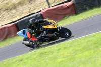 Fowlers 0458