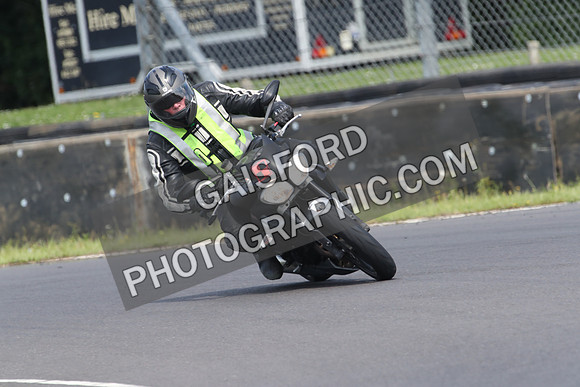 BIKES 0731