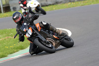 Fowlers 0369