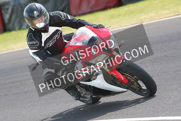 BIKES 1481