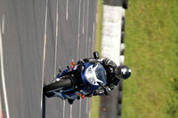 Suzuki GSX R blue n white