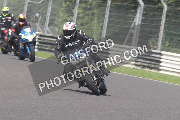 BIKES 1475