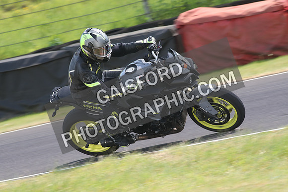 BIKES 1590