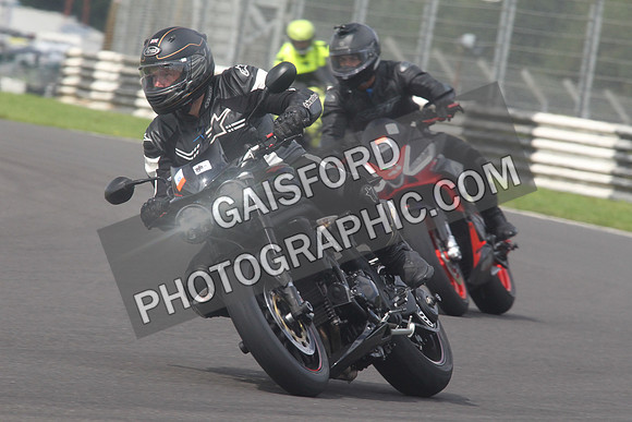 BIKES 1603