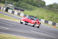 LOTUS 1165