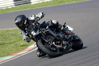 Yamaha black