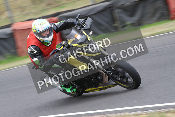 BIKES 1039