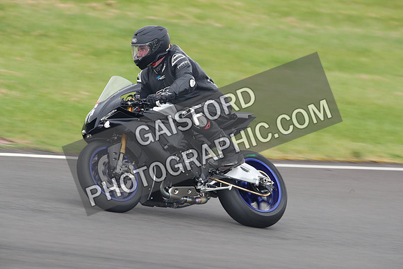 BIKES 2181