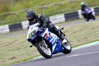 Fowlers 0252