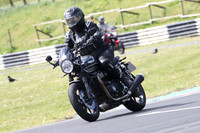 Triumph black