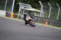 BIKES 0108
