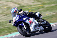 BIKES 0981