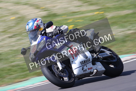 BIKES 0981